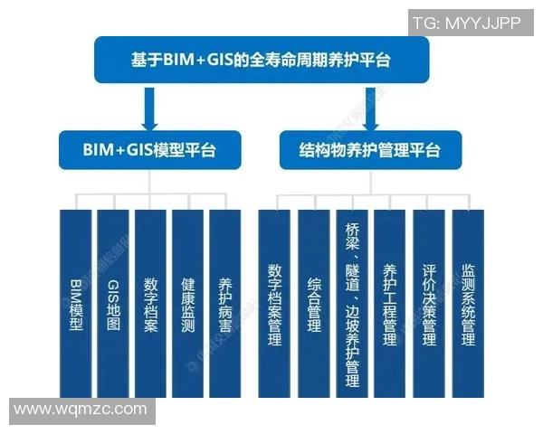 西安羽毛球队运营革新探讨：从传统模式到现代管理的转型之路